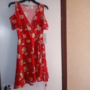Wishful Park Red Floral Dress